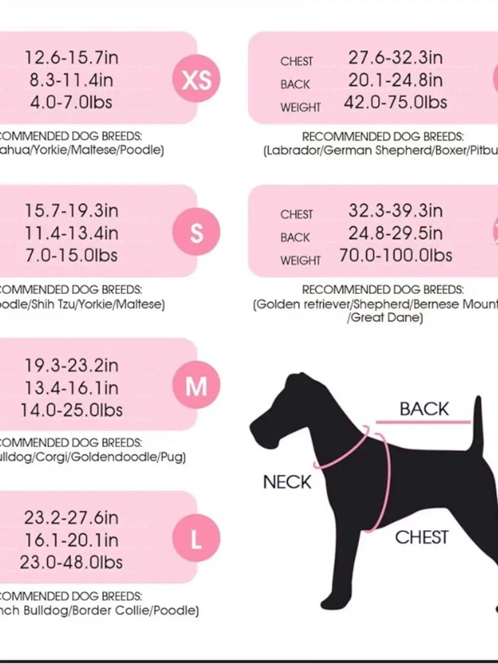 Dog XXL recovery Suit Male Female